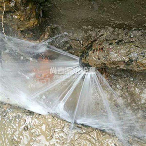 三伏潭镇消防管道漏水检测